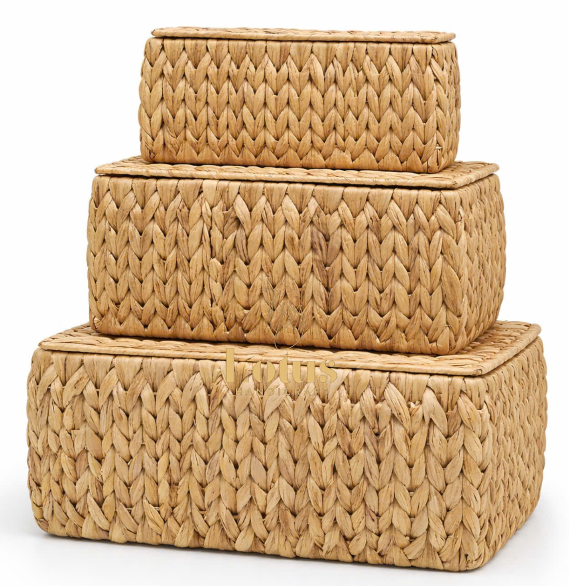 Bộ 3 khay lục bình