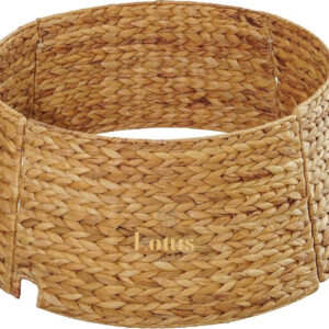 Chân cây thông lục bình